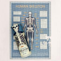 Anatomical Skeleton 300 Piece Puzzle In A Tube