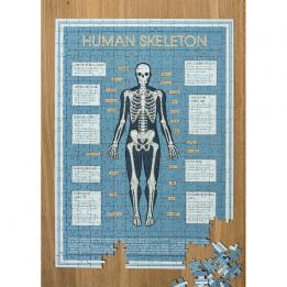 Anatomical Skeleton 300 Piece Puzzle In A Tube