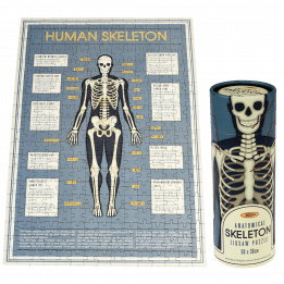 Anatomical Skeleton 300 Piece Puzzle In A Tube