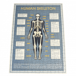 Anatomical Skeleton 300 Piece Puzzle In A Tube