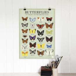 5 Sheets Of Butterflies Wrapping Paper