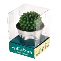 Cactus Candle In Tin