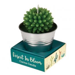 Cactus Candle In Tin