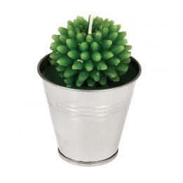 Cactus Candle In Tin