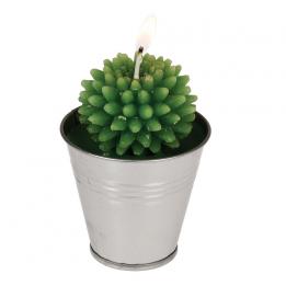 Cactus Candle In Tin
