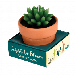 Cactus Candle In A Pot