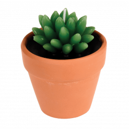 Cactus Candle In A Pot