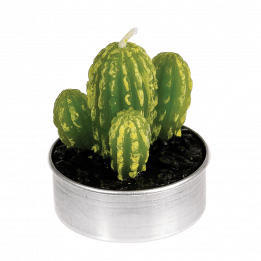 Cactus Tea Lights (set Of 6)