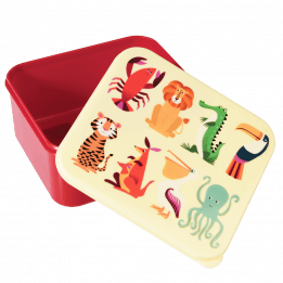 Colourful Creatures Lunch Box