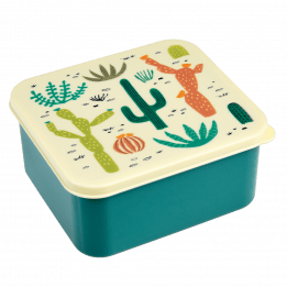 Desert In Bloom Lunch Box