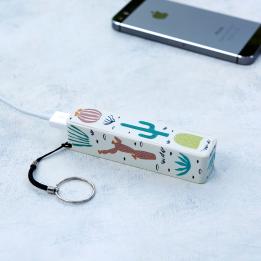Desert In Bloom Portable Usb Charger