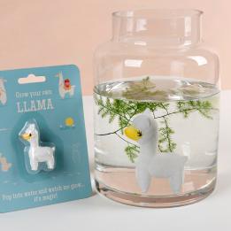 Grow Your Own Llama