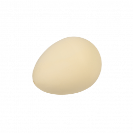 Hatch Your Own Dinosaur Egg