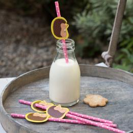 Honey The Hedgehog Party Straws