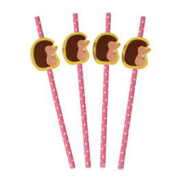 Honey The Hedgehog Party Straws