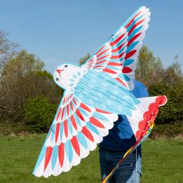 Colourful kite is shaped like a bird, with an impressive wingspan and long, flowing ribbon tails.