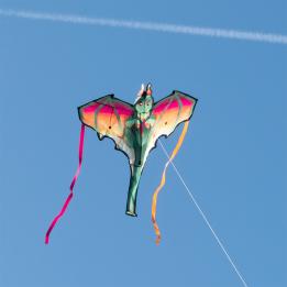 A giant dragon kite. Designed in a fantasy-inspired style with vivid colours and streaming ribbon tails