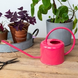 Vibrant pink metal watering can with curved handle and long spout.