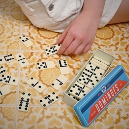 Wild bear dominoes tin set