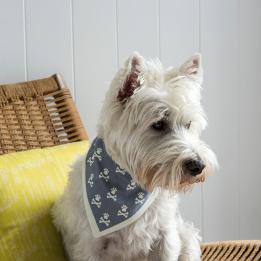 Large Grey-Blue Paw And Cross Bones Dog Bandana