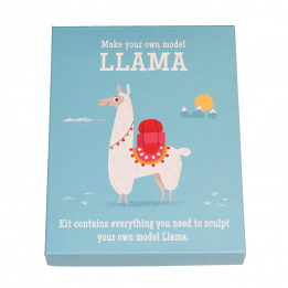 Make Your Own Dolly Llama Model