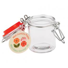 Mini Glass Spice Jar