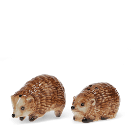Hedgehog‑shaped ceramic salt and pepper shakers
