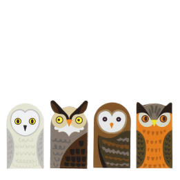 Owl magnetic bookmarks set featuring four owl designs in assorted colours and patterns