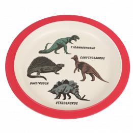 Prehistoric Land Bamboo Plate