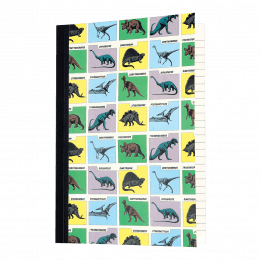 Prehistoric Land A5 Notebook