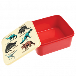 Prehistoric Land Lunch Box