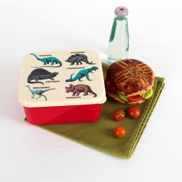 Prehistoric Land Lunch Box