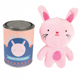 Robyn The Rabbit Friend In A Tin