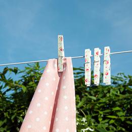 Set Of 12 La Petite Rose Clothes Pegs