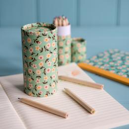 Set Of 36 Daisy Design Colouring Pencils