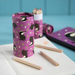 Set Of 36 Mr Badger Design Colouring Pencils
