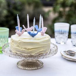 Set Of 6 Pastel Bird Cake Candleholders