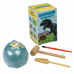 Small Dinosaur Excavation Kit