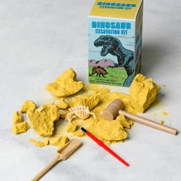 Small Dinosaur Excavation Kit