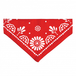 Small Red Paisley Dog Bandana