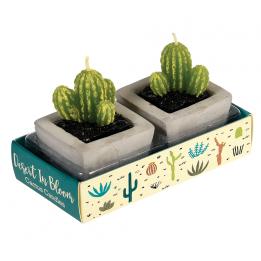 Cactus Candles In Cement Pots (set Of 2)