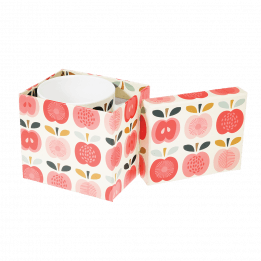 Vintage Apple Mug In Gift Box