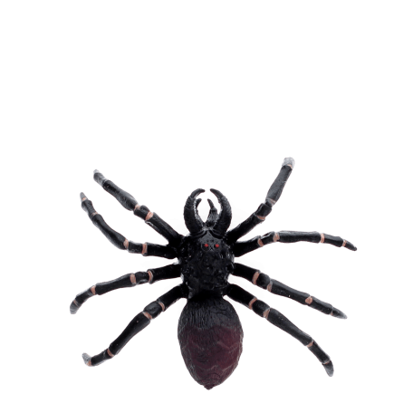 Realistic tarantula toy