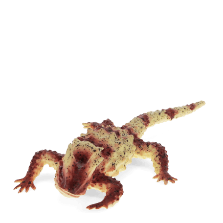 Realistic horned lizard toy
