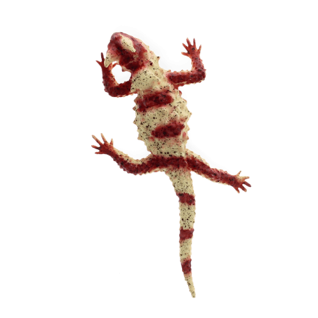 Realistic horned lizard toy