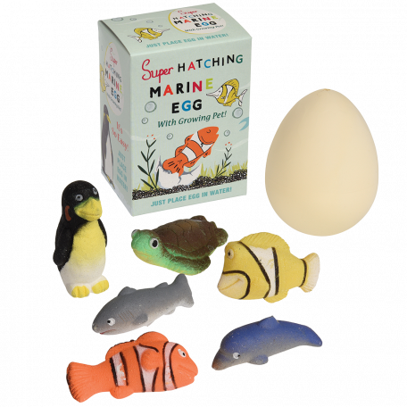 Hatch Your Own Marine Animal