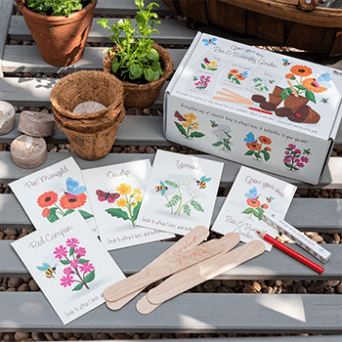 Grow Your Own Bee And Butterfly Garden Kit