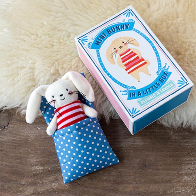 Bunny in a little box