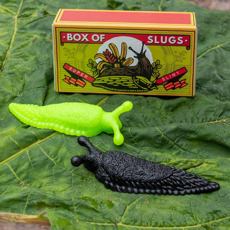 Sticky shop slug toy