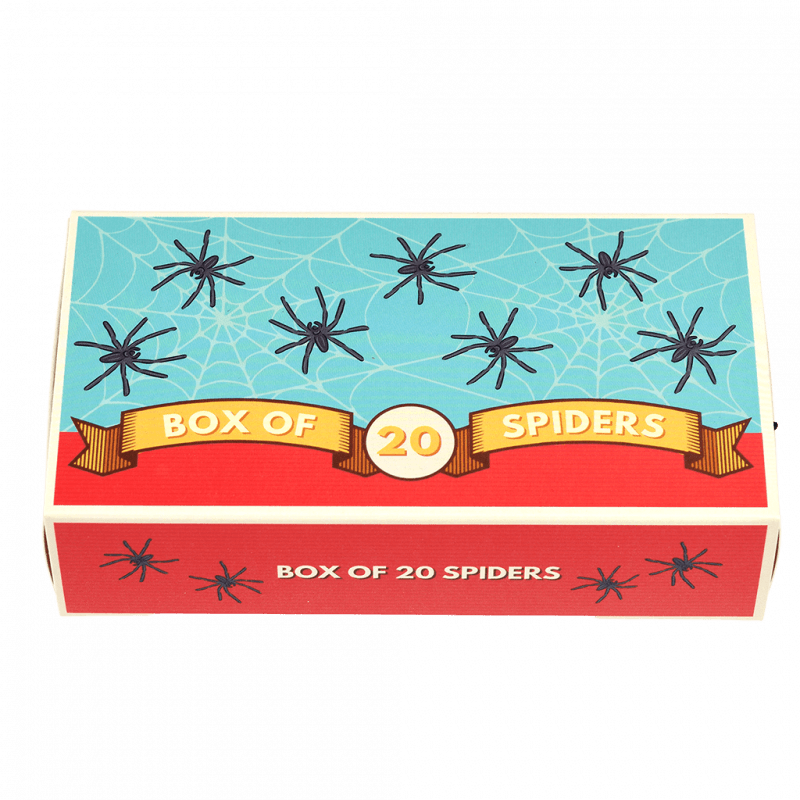 Box of 20 spiders | Rex London